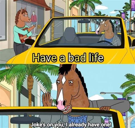 Bojack Horseman Meme Have A Bad Life Jokes On You I Already Have One