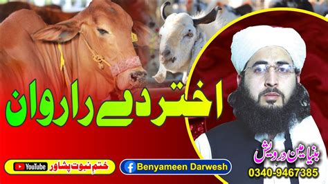 Pashto Eid Ul Adha2023 Qurbani Nazamqurbani New Pashto Videoپشتو