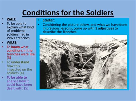 Wwi Diseases In The Trenches Teaching Resources