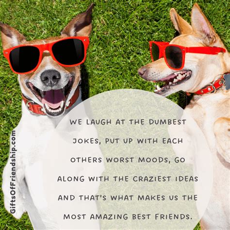 85 Hilarious Quotes About Crazy Friends Ts Of Friendship