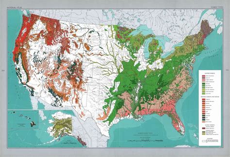 Major Forest Types Of The United States 1967 Vivid Maps Map