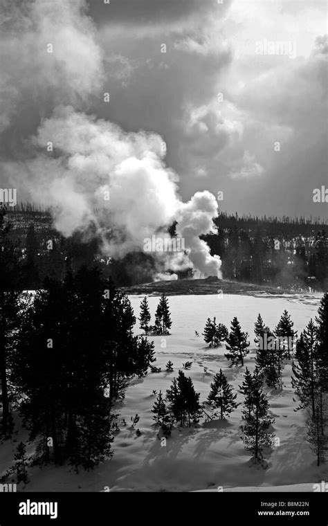 Old Faithful Yellowstone Geyser Black And White Stock Photos And Images