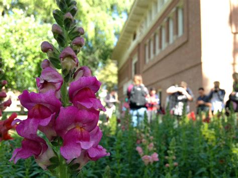 Outreachtree Tours University Of Arizona Campus Arboretum