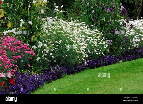 Perennial Border Flowers That Bloom All Summer 17 Flowering