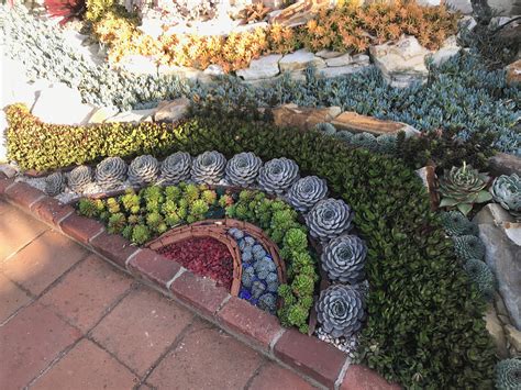 A Colorful Succulent Arrangement At Sherman Library And Gardens In Ca