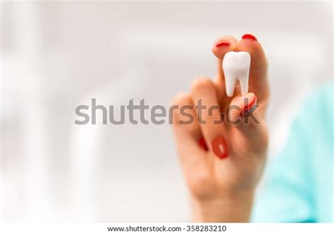 Closeup Dentist Hand Holding Model Tooth Stock Photo Edit Now 358283210
