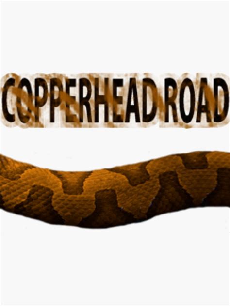 Copperhead Road Sticker For Sale By Cheywings Redbubble