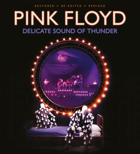 Delicate Sound Of Thunder Pink Floyd Video The Pink Floyd Hyperbase