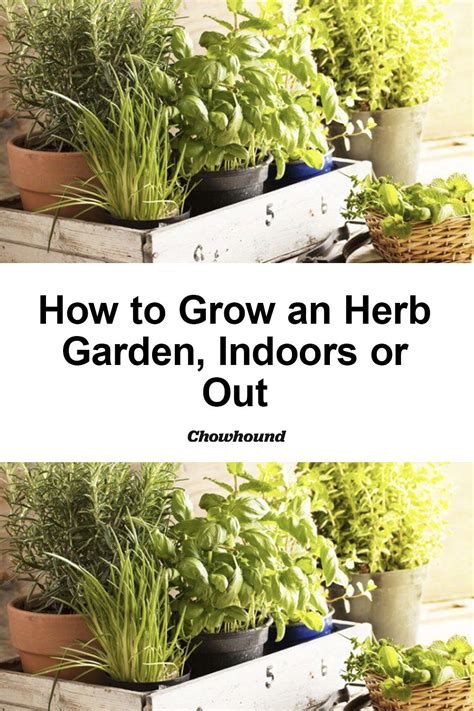 How To Grow The Best Indoor Garden Youve Ever Herb Of Outdoor Herb