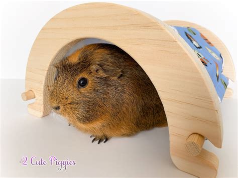 Wood Guinea Pig Tunnel Camping Themed