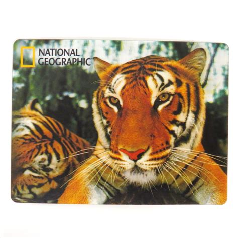 National Geographic Super 3d Moving Postcard Tigers Paper Things