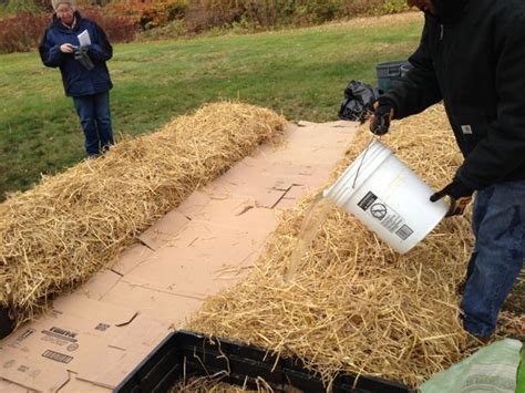 The best mulches for garden vegetables. How to Sheet Mulch (With images) | Sheet mulching, Lasagna ...