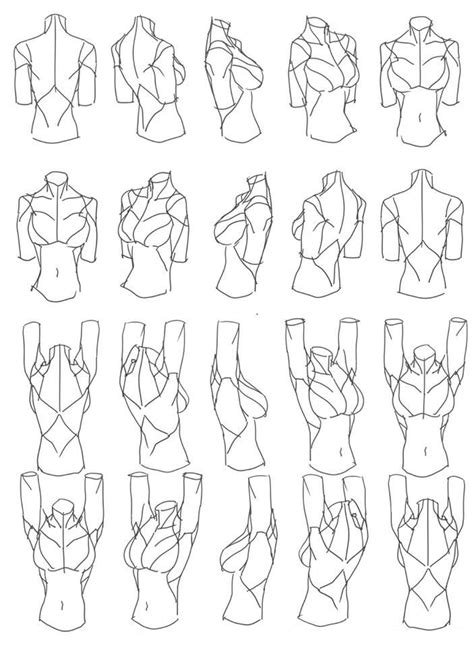 Anime Female Arm Drawing Reference Learn To Draw With My How To