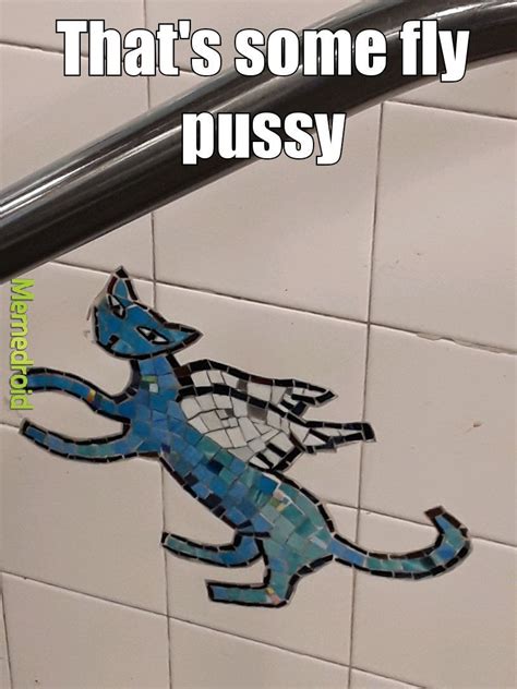 The Best Pussy Memes Memedroid