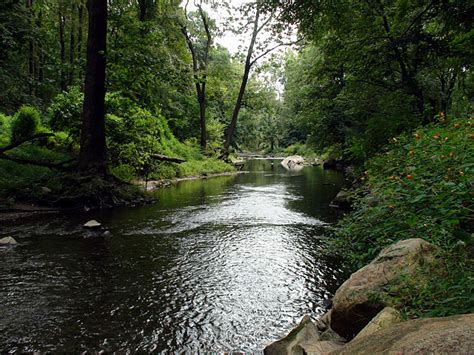 Difference Between Stream And Creek Compare The Difference Between Similar Terms