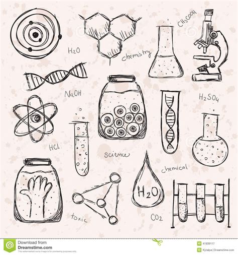 Pin En Ciencias Biología Medicina Química Cuerpo Humano