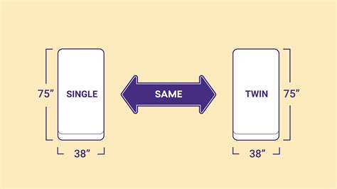 Single Vs Twin Bed Size Whats The Difference Sleep Junkie