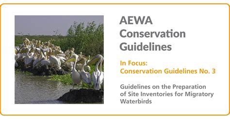 In Focus Aewa Conservation Guideline No 3 Guidelines On The