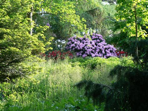 Der alte botanische garten in tübingen, einer stadt, park, ursprünglich war der botanische garten der universität tübingen. Die 20 Besten Ideen Für Alter Botanischer Garten Kiel ...