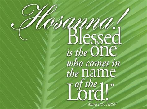Are you searching for palm sunday png images or vector? Palm Sunday - Happy New Year Wishes for Friends and Family ...
