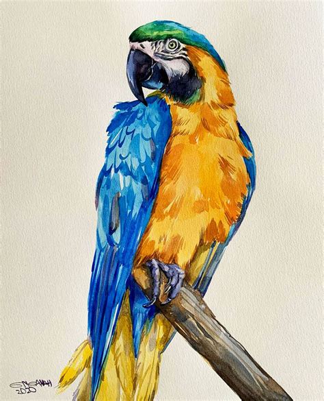 My Ebay Active Watercolor Parrot Painting Parrots Art Parrot Painting