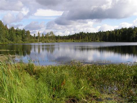 Lake In The Russian Taiga Stock Image Image Of Water 48193349