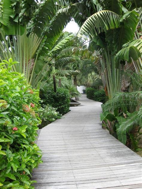 Tropical Garden Design Tropical Backyard Garden Landscape Design