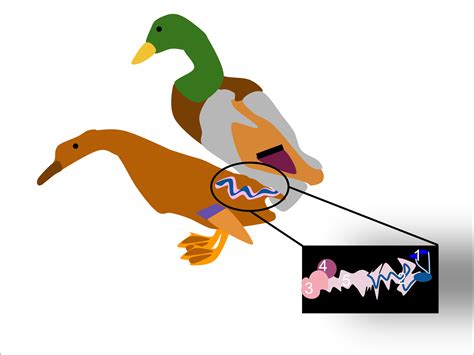 Fileduck Reproductionsvg Wikipedia