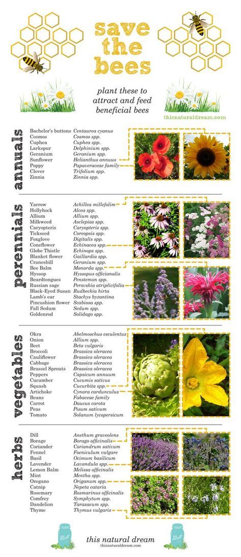 92 Pollinator Garden Ideas In 2021 Bee Friendly Plants Pollinator
