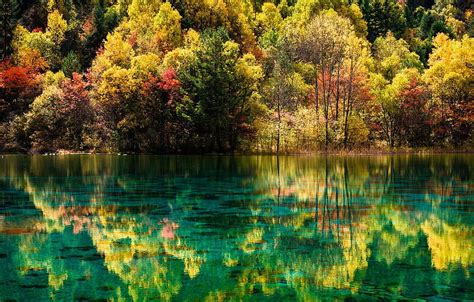 Autumn Forest Landscape Nature Lake China Reserve Jiuzhaigou