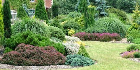 The Benefits Of Evergreens For A Beautiful Landscape Trees Unlimited