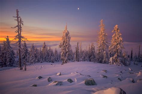 Wallpaper Winter Photo Picture Evening Sunset Forest Snow