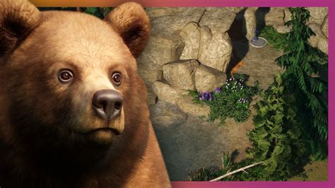 🐻 Grizzly Bear Community Challenge Planet Zoo Franchise Mode Youtube