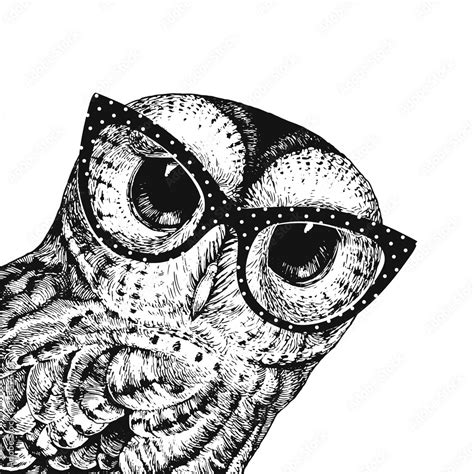 Cute Owl Illustration Wearing Glasses Vector Illustration Of The Baby