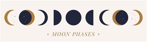 Vector Phases Of A Golden Moon On A Nude Background Hand Drawn