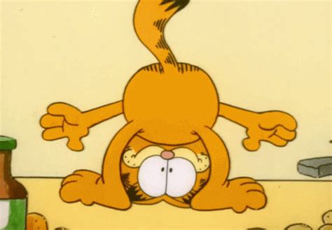 Garfield Funny Gif Garfield Funny Discover Share Gifs Gato