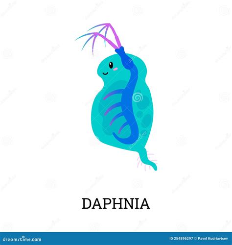 Daphnia Underwater World Tiny Microorganism Or Animal Flat Vector