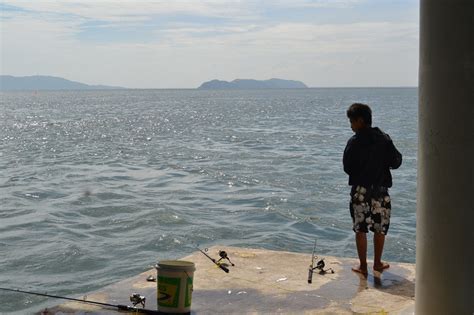 Pemandangan lukisan di tepi pantai pulau calayan yang terletak di filipina. Tip Memancing Di Bawah Jambatan Pulau Pinang - Umpan