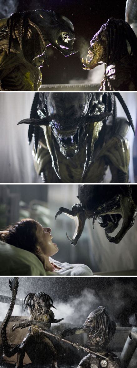 Aliens And Predators Glimpses Of The Predalien From Avp Requiem