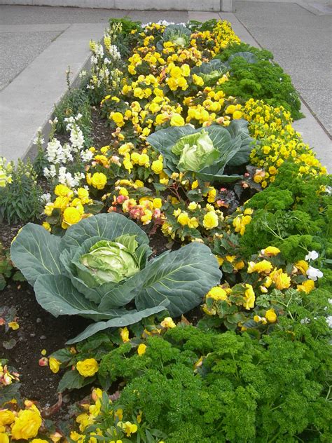 Explore anchorage parks, downtown, wildlife, native culture, eagle river, eklutna, fur rendezvous, cook inlet, wilderness, chugach state park, hiking, iditarod, anchorage museum, mountains, furs, winter activities and more. Yellow Flowers & Cabbage | Anchorage, Alaska | Jimmy ...