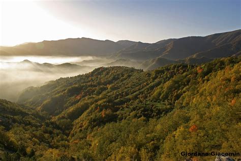 The Casentinesi Forests Monte Falterona And Campigna National Park