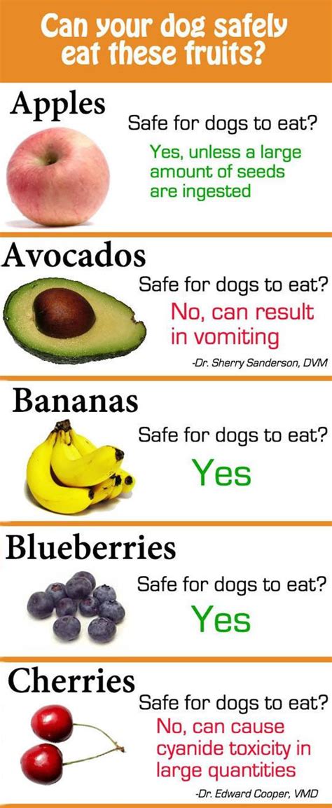 Well, it is obvious that dog food was never intended for humans to eat and also is not made according to the same production standards like. Can Your Dog Safely Eat These Fruits? | Fruits for dogs ...
