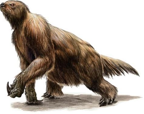 Top 10 Extinct Animals You Didnt Know About List Ogre Extinct