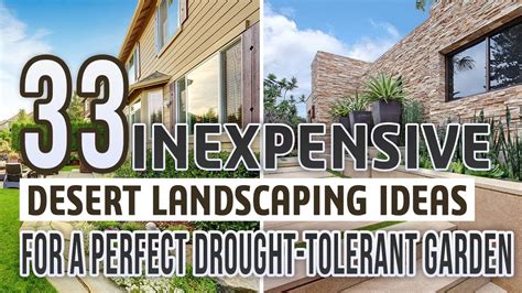 33 Inexpensive Desert Landscaping Ideas For A Perfect Drought Tolerant
