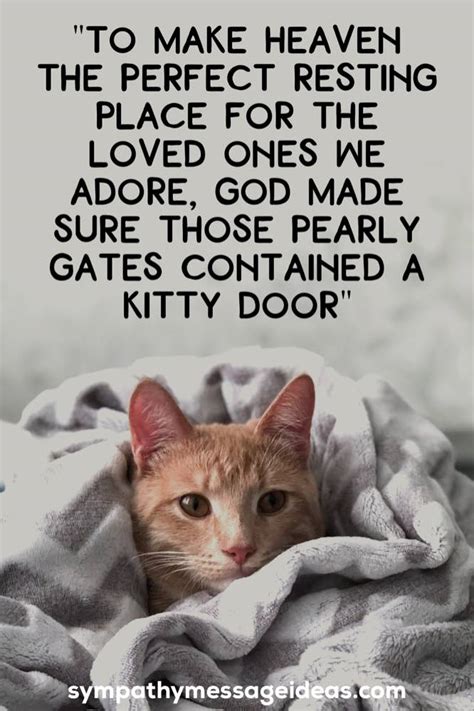 41 Heartfelt Loss Of Cat Quotes And Images Sympathy Message Ideas