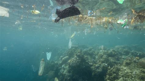 15 Shocking Facts About Ocean Pollution Passport Ocea