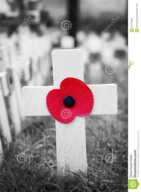 Poppy Cross Remembrance Day Display Stock Photo Image Of Memory