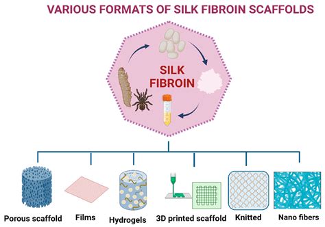 Biomimetics Free Full Text Silk Based Biomaterials For Designing