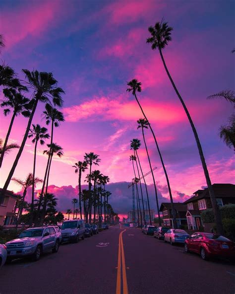 Palms Sunset Pink Sky Miami Florida Cars And Highway Sky Aesthetic