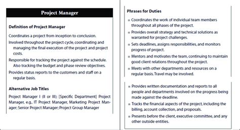 In this role, you will be expected to. Project Manager (Job description). Martin, C. (2010 ...